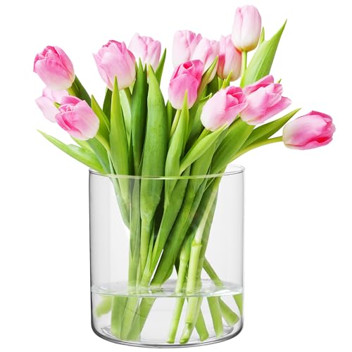 TREND FOR HOME Glaszylinder H: 15 cm Blumentopf Glas Zylinderform Glasvase Rund Dekoglas für Kerzen Durchsichtige Vase Rund Tulpen Vase Glaszylinder für Kerzen | ⌀ 15 cm | 2350 ml | Calen von TREND FOR HOME