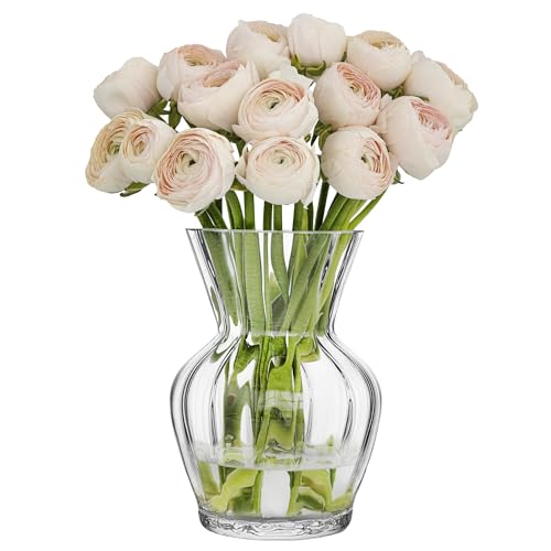 TREND FOR HOME Handgemachte Blumenvase Vintage 27.5 cm Hoch Glasvase Geriffelt Tisch Deko Tulpenvase Mundgeblasene Vase Bauchig Tischvase Dekorative Vase Durchsichtig | Ø 19.5 cm | Amphora von TREND FOR HOME