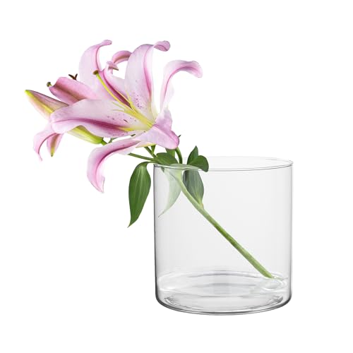 TREND FOR HOME Deko-Glasbehälter 19 cm Zylinder Vase Blumenvase Kerzenständer Stumpenkerzen Kerzenhalter Glasvase Bodenvase Groß Deko Hochzeit Transparent | Ø 19 cm | 4848 ml | Naida von TREND FOR HOME