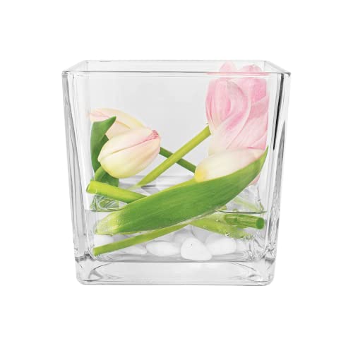 TREND FOR HOME Vase Klein 12.5 cm Mini Vase Tischdeko Hochzeit Blumenvase Frühlingsdeko Kerzenhalter Viereckig Quadratische Glasvase Teelichtglas Cube Deko Wohnzimmer Transparent | Ø 13 cm | Cassia von TREND FOR HOME