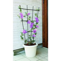 Trendline - Rankgitter 120 cm Rankhilfe Rosengitter Blumengitter Metall Garten Trendline - Rankgitter 120 cm Rankhilfe Rosengitter Blumengitter Metall Garten von TRENDLINE