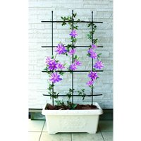 Trendline - Rankgitter 120 cm Spaliere Trendline - Rankgitter 120 cm Spaliere von TRENDLINE