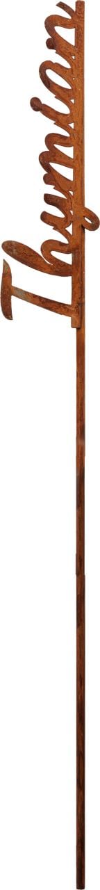 TrendLine Pflanzstab Metall Thymian 30 cm TrendLine Pflanzstab Metall Thymian 30 cm von TRENDLINE