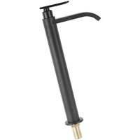 304 Edelstahl G1/2 Einhand-Waschbeckenarmatur Schwarz von TRIMEC