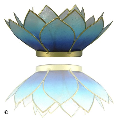 TRIMONTIUM Teelichthalter Bayernhimmel in Form Einer dreiblättrigen Lotusblüte, Capiz-Muschel, weiß/blau, 14 x 14 x 8 cm von TRIMONTIUM