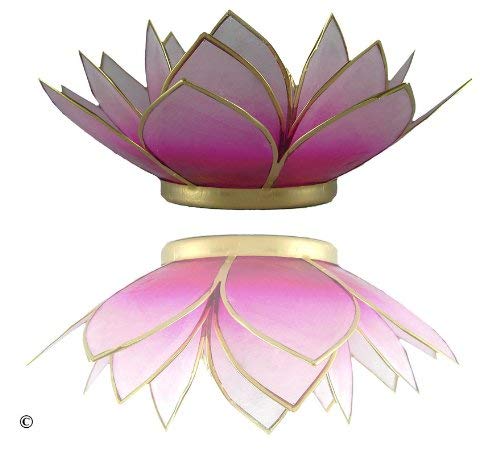 TRIMONTIUM Teelichthalter Pinkschimmer in Form Einer dreiblättrigen Lotusblüte, Capiz-Muschel, weiß/pink, 14 x 14 x 8 cm TRIMONTIUM Teelichthalter Pinkschimmer in Form Einer dreiblättrigen Lotusblüte, Capiz-Muschel, weiß/pink, 14 x 14 x 8 cm von TRIMONTIUM