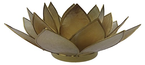 TRIMONTIUM Teelichthalter Rauchquarzschimmer in Form einer dreiblättrigen Lotusblüte, Capiz-Muschel, rauchquarz, 14 x 14 x 8 cm von TRIMONTIUM