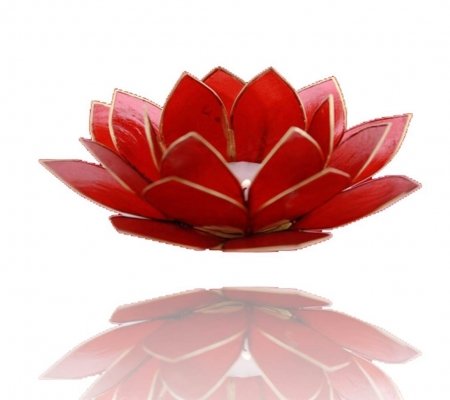 TRIMONTIUM Teelichthalter Rubinrot in Form Einer dreiblättrigen Lotusblüte, Capiz-Muschel, rot, 14 x 14 x 8 cm von TRIMONTIUM