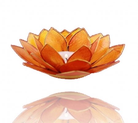 TRIMONTIUM Teelichthalter in Form Einer dreiblättrigen Lotusblüte, Capiz-Muschel, orange, 14 x 14 x 8 cm von TRIMONTIUM
