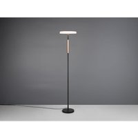 Dimmbare led Stehleuchte celeste 2-farbig mit Glasschirm, Höhe 160cm von TRIO LIGHTING