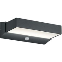 [NEUWERTIG] Trio Lighting Led Außenwandleuchte Cuando Außen Wandleuchte Lampe Bewegungssensor B-Ware von TRIO LIGHTING