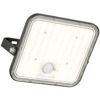 Wandstrahler Außenleuchte Fassadenstrahler schwarz LED Sensor Akku Fernbedienung B 20 cm von TRIO LIGHTING