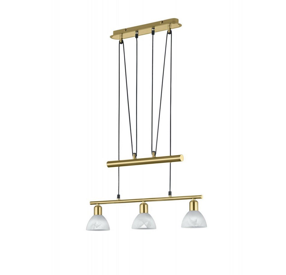 TRIO Leuchten LED Pendelleuchte, Leuchtmittel inklusive, Warmweiß, Modische 18W LED Pendel Hänge Leuchte Kneipe höhenverstellbar TRIO von TRIO Leuchten