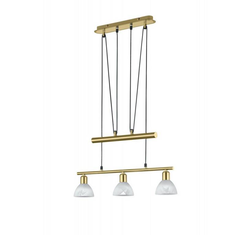 TRIO Leuchten LED Pendelleuchte, Leuchtmittel inklusive, Warmweiß, Modische 18W LED Pendel Hänge Leuchte Kneipe höhenverstellbar TRIO TRIO Leuchten LED Pendelleuchte, Leuchtmittel inklusive, Warmweiß, Modische 18W LED Pendel Hänge Leuchte Kneipe höhenverstellbar TRIO von TRIO Leuchten
