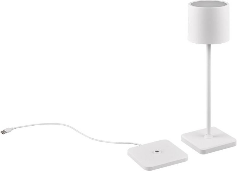 Reality Leuchten LED Außen-Tischleuchte Fernandez, Dimmfunktion, USB-Ladefunktion, LED fest integriert, Farbwechsler, warmweiß - kaltweiß, Garten Akku Tischlampe USB Ladestation dimmbar Lichtfarbe einstellbar von Reality Leuchten