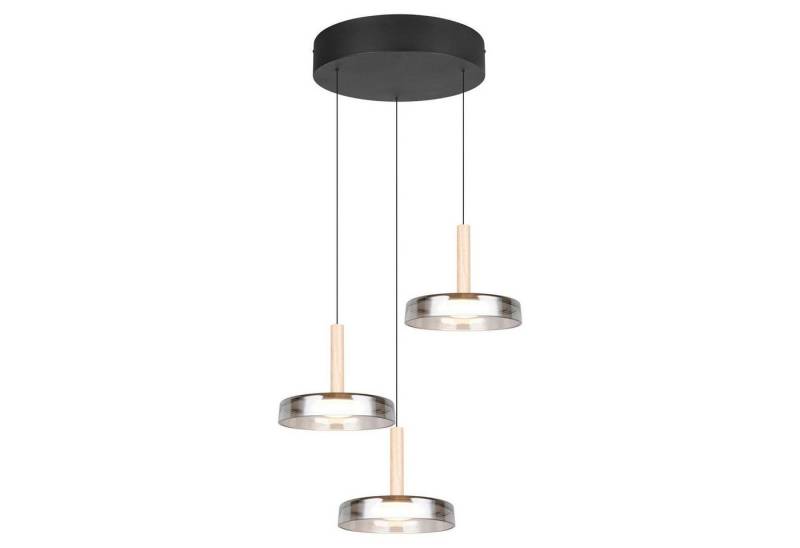 TRIO Leuchten LED Pendelleuchte CELESTE, Ø 35 x H 200 cm, 3-flammig, Schwarz, Dimmfunktion, Höhenverstellbar, LED fest integriert, Extra-Warmweiß, Transparent, Holz, Glas, Metall von TRIO Leuchten