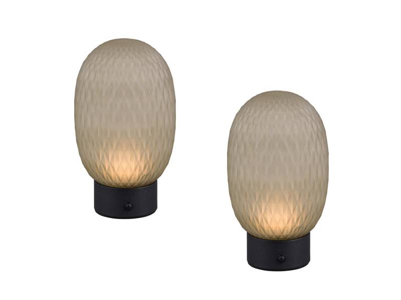 TRIO Leuchten LED Tischleuchte, Dimmfunktion, LED fest integriert, Warmweiß, 2er SET kleine aufladbare kabellose Tischbeleuchtung mit Akku H 20,5cm von TRIO Leuchten