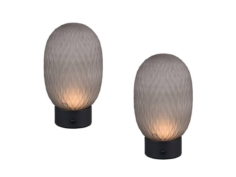 TRIO Leuchten LED Tischleuchte, Dimmfunktion, LED fest integriert, Warmweiß, 2er SET kleine aufladbare kabellose Tischbeleuchtung mit Akku H 20,5cm von TRIO Leuchten