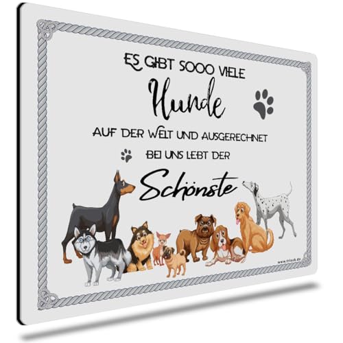TRIOSK Dekoschild Hund Schild lustig mit Spruch Es gibt so viele Hunde auf dieser Welt Metallschild Hinweis Hundeschild Sprüche Geschenk für Hundebesitzer Blechschild 30x20 cm groß TRIOSK Dekoschild Hund Schild lustig mit Spruch Es gibt so viele Hunde auf dieser Welt Metallschild Hinweis Hundeschild Sprüche Geschenk für Hundebesitzer Blechschild 30x20 cm groß von TRIOSK