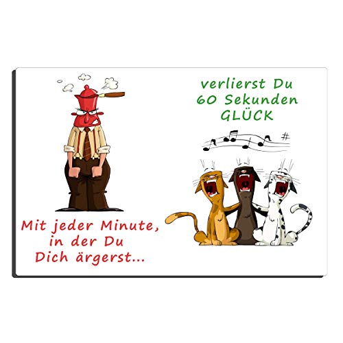 Blechschild Katzen Glück lustig mit Spruch Jede Minute 20x30 cm Metallschild Weisheiten Sprüche Geschenk Dekoschild Motivation Schild von TRIOSK