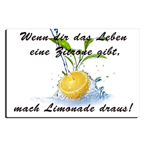 Blechschild Zitrone lustig mit Spruch Limonade Leben 20x30 cm Metallschild Küche Cocktail Bar Sprüche Geschenk Dekoschild Motivation Weisheiten Schild von TRIOSK