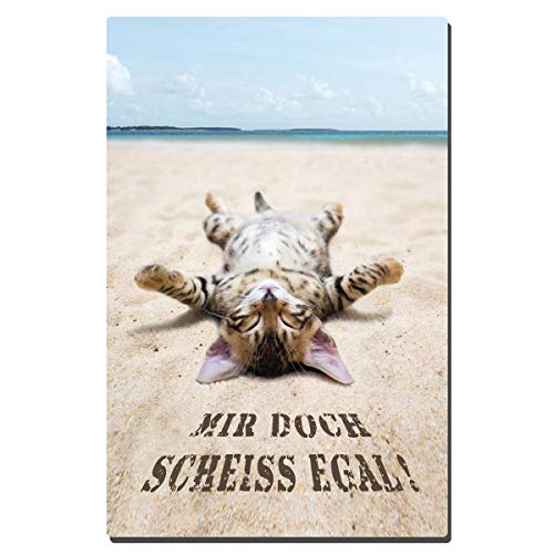 TRIOSK Blechschild Katze lustig mit Spruch Scheiss Egal 20x30 cm Metallschild Strand Katzen Sprüche Dekoschild Beach Geschenk für Katzenliebhaber von TRIOSK