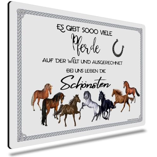 TRIOSK Dekoschild Pferd Schild lustig mit Spruch Es gibt so viele Pferde Metallschild Pferdeschild Sprüche Geschenk für Pferdeliebhaber Mädchen Frauen Blechschild 30x20 cm groß von TRIOSK