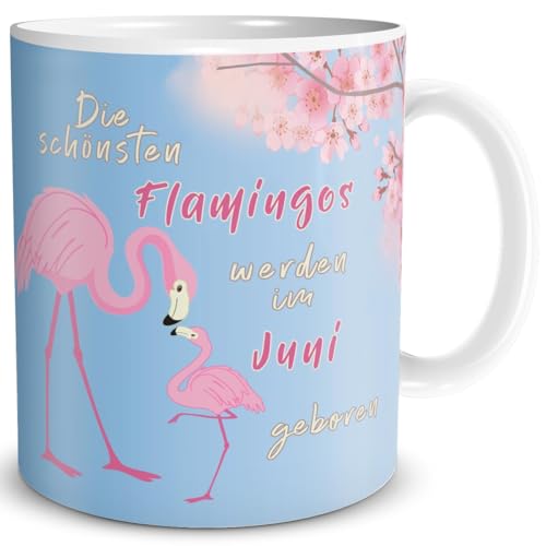 TRIOSK Geburtstag Tasse Die schönsten Flamingos werden im Juni geboren Flamingo Geschenk lustig mit Spruch für Frauen Freundin, Keramik 300ml von TRIOSK