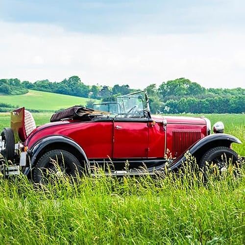 TRIOSK Große Motivplane Sichtschutz Zaunblende mit Motiv Auto Landschaft Oldtimer Tour Motivbanner Garten Deko Plane Blickdicht für Zaun Terrasse Gartenzaun Zaunplane PVC 600x200 cm von TRIOSK