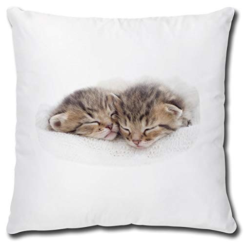 TRIOSK Kissen mit Katze Katzenmotiv Nap Time lustig Katzen Geschenk für Katzenliebhaber Frauen Freundin Mädchen Dekokissen 40x40 von TRIOSK