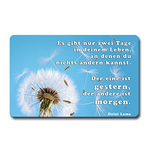 TRIOSK Kühlschrankmagnet stark Pusteblume Magnet Sprüche lustig Motivation mit Spruch Zwei Tage Poesie Weisheit Zitat Geschenk für Blumenliebhaber von TRIOSK