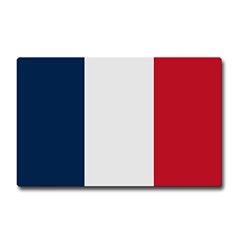 TRIOSK Kühlschrankmagnet stark Flagge Frankreich Magnet France Länder Flaggen Geschenk Souvenir für Reiselustige Frauen Männer Weltenbummler von TRIOSK