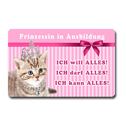 TRIOSK Kühlschrankmagnet stark Katze Magnet Sprüche lustig Katzenmotiv mit Spruch Prinzessin Ausbildung Katzenmagnet Geschenk für Katzenliebhaber von TRIOSK