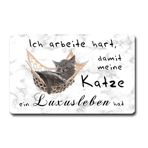 TRIOSK Kühlschrankmagnet stark Katze Magnet Sprüche lustig Luxusleben mit Spruch Ich arbeite hart Geschenk Büro Motivation für Katzenliebhaber von TRIOSK