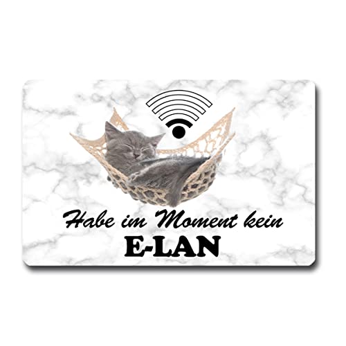 TRIOSK Kühlschrankmagnet stark Katze Magnet Sprüche lustig mit Katzenmotiv Spruch Kein Elan Morgenmuffel Geschenk für Katzenliebhaber von TRIOSK