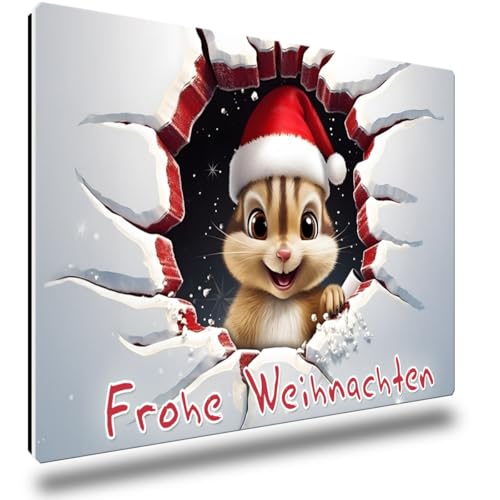 TRIOSK Kühlschrankmagnete 3D Illusion Streifenhörnchen Magnet mit Spruch Frohe Weihnachten Weihnachtsmagnet Geschenk lustig für Kühlschrank Eichhörnchen Fans stark eckig groß 85x55 mm von TRIOSK