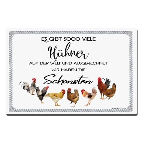 TRIOSK Schild Huhn lustig mit Spruch Es gibt so viele Hühner Blechschild 20x30 cm Metallschild Sprüche Geschenk für Hühnerhalter Landwirte von TRIOSK