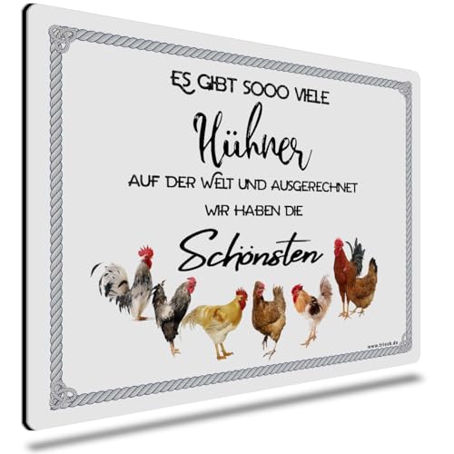 TRIOSK Schild Huhn lustig mit Spruch Es gibt so viele Hühner Blechschild 20x30 cm Metallschild Sprüche Geschenk für Hühnerhalter Landwirte TRIOSK Schild Huhn lustig mit Spruch Es gibt so viele Hühner Blechschild 20x30 cm Metallschild Sprüche Geschenk für Hühnerhalter Landwirte von TRIOSK