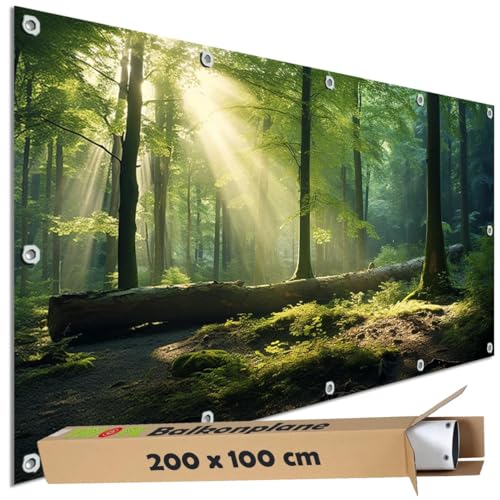 TRIOSK Sichtschutz Balkon Deko Plane Balkonblende Blickdicht mit Motiv Wald Lichtung Sonne für Garten Terrasse Gartenzaun Balkonverkleidung Blickschutz PVC groß 200x100 cm von TRIOSK