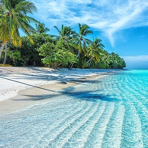 TRIOSK Sichtschutz Garten Dekoration Plane groß mit Motiv Malediven Meer Strand Tropical Beach Motivbanner Blickdicht für Terrasse Zaun Gartenzaun Gartenposter PVC Zaunblende 600x200 cm TRIOSK Sichtschutz Garten Dekoration Plane groß mit Motiv Malediven Meer Strand Tropical Beach Motivbanner Blickdicht für Terrasse Zaun Gartenzaun Gartenposter PVC Zaunblende 600x200 cm von TRIOSK