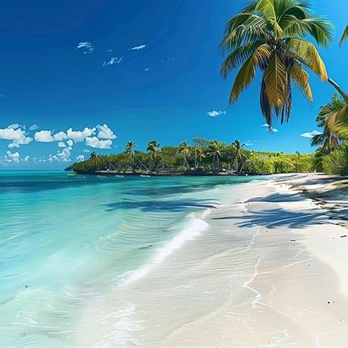 TRIOSK Sichtschutz Garten Dekoration Plane groß mit Motiv Strand Südsee Paradies Meer Motivbanner Blickdicht für Terrasse Zaun Gartenzaun Gartenposter PVC Zaunblende 600x200 cm TRIOSK Sichtschutz Garten Dekoration Plane groß mit Motiv Strand Südsee Paradies Meer Motivbanner Blickdicht für Terrasse Zaun Gartenzaun Gartenposter PVC Zaunblende 600x200 cm von TRIOSK