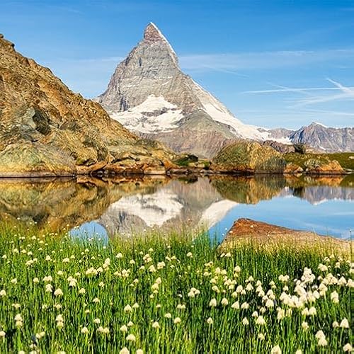 TRIOSK Sichtschutz Garten Dekoration Plane groß mit Natur Motiv Berg Matterhorn Schweiz Motivbanner Blickdicht für Terrasse Zaun Gartenzaun Gartenposter PVC Zaunblende 600x200 cm von TRIOSK