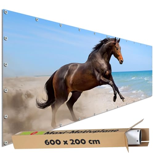 TRIOSK Sichtschutz Garten Dekoration Plane groß mit Natur Motiv Meer Pferd am Strand Motivbanner Blickdicht für Terrasse Zaun Gartenzaun Gartenposter PVC Zaunblende 600x200 cm von TRIOSK