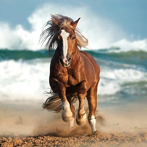 TRIOSK Sichtschutz Garten Dekoration Plane groß mit Natur Motiv Strand Pferd am Meer Motivbanner Blickdicht für Terrasse Zaun Gartenzaun Gartenposter PVC Zaunblende 600x200 cm von TRIOSK