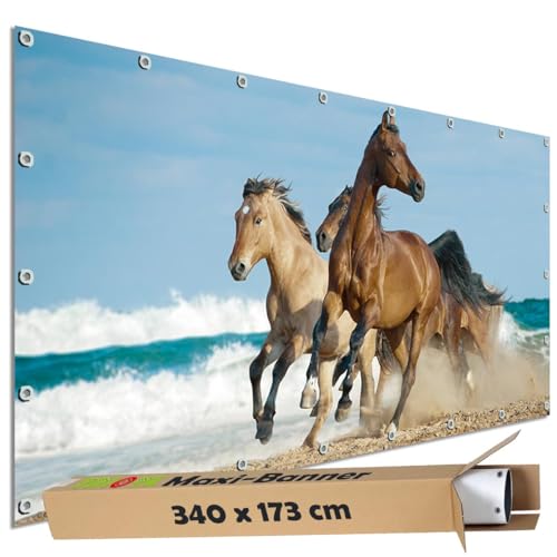 TRIOSK Sichtschutz Garten Dekoration Plane groß mit Natur Motiv Strand Pferde am Meer Motivbanner Blickdicht für Terrasse Zaun Gartenzaun Gartenposter PVC Zaunblende 340x173 cm TRIOSK Sichtschutz Garten Dekoration Plane groß mit Natur Motiv Strand Pferde am Meer Motivbanner Blickdicht für Terrasse Zaun Gartenzaun Gartenposter PVC Zaunblende 340x173 cm von TRIOSK