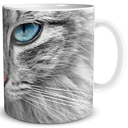 TRIOSK Tasse Katze lustig mit Katzenmotiv Katzen Gesicht Blaue Augen Grey Cat Blue Eyes Geschenk für Katzenliebhaber Frauen Freundin Kollegin, Keramik 300ml von TRIOSK