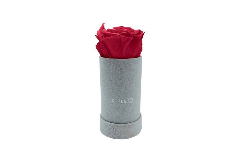 Kunstblume TRIPLE K - Rosenbox Velvet mit Infinity Rosen, bis 3 Jahre Haltbar, Flowerbox mit konservierten Rosen, Blumenbox Inkl. Grußkarte Infinity Rose, TRIPLE K von TRIPLE K