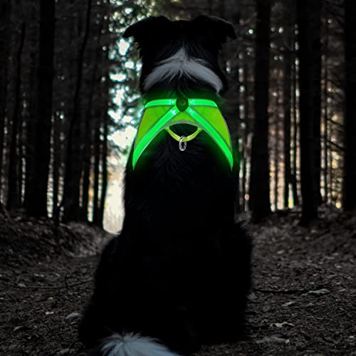 TRIPOLACO Hundegeschirr Leuchtend Aufladbar, Reflektierend Hunde Geschirr, Atmungsaktiv Beleuchtete Brustgeschirr für Kleine Mittlere Große Hunde, L von TRIPOLACO