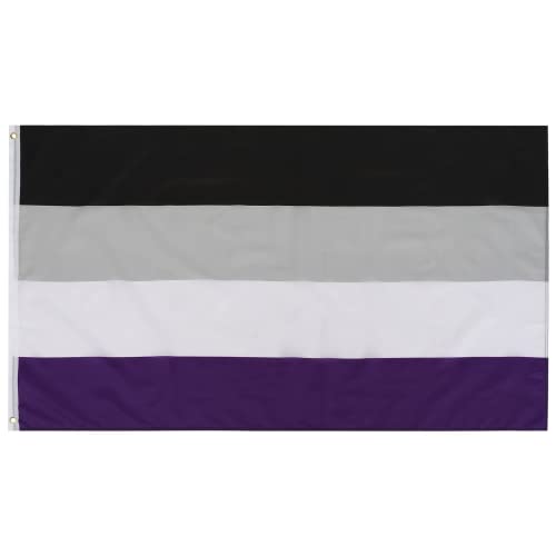 TRIXES Asexuelle Flagge – LGBTQ+ Pride Flags Innen & Außen Ace Zubehör – Aufhängen an einem Fahnenmast, Verwendung für ein Festival, Pride Events, Wanddekoration – 1,5 x 0,9 m Schwarz Grau Weiß & Lila von TRIXES