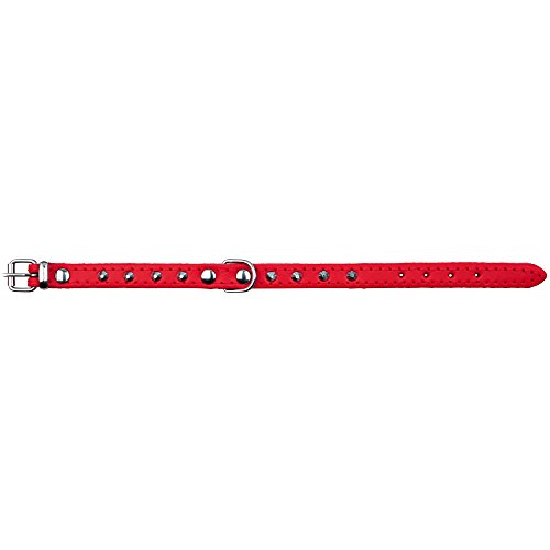 TRIXIE Basic Halsband mit Nieten für Hunde, Rot, 38 – 48 cm/22 m, Größe M-L, 4011905196534 von TRIXIE